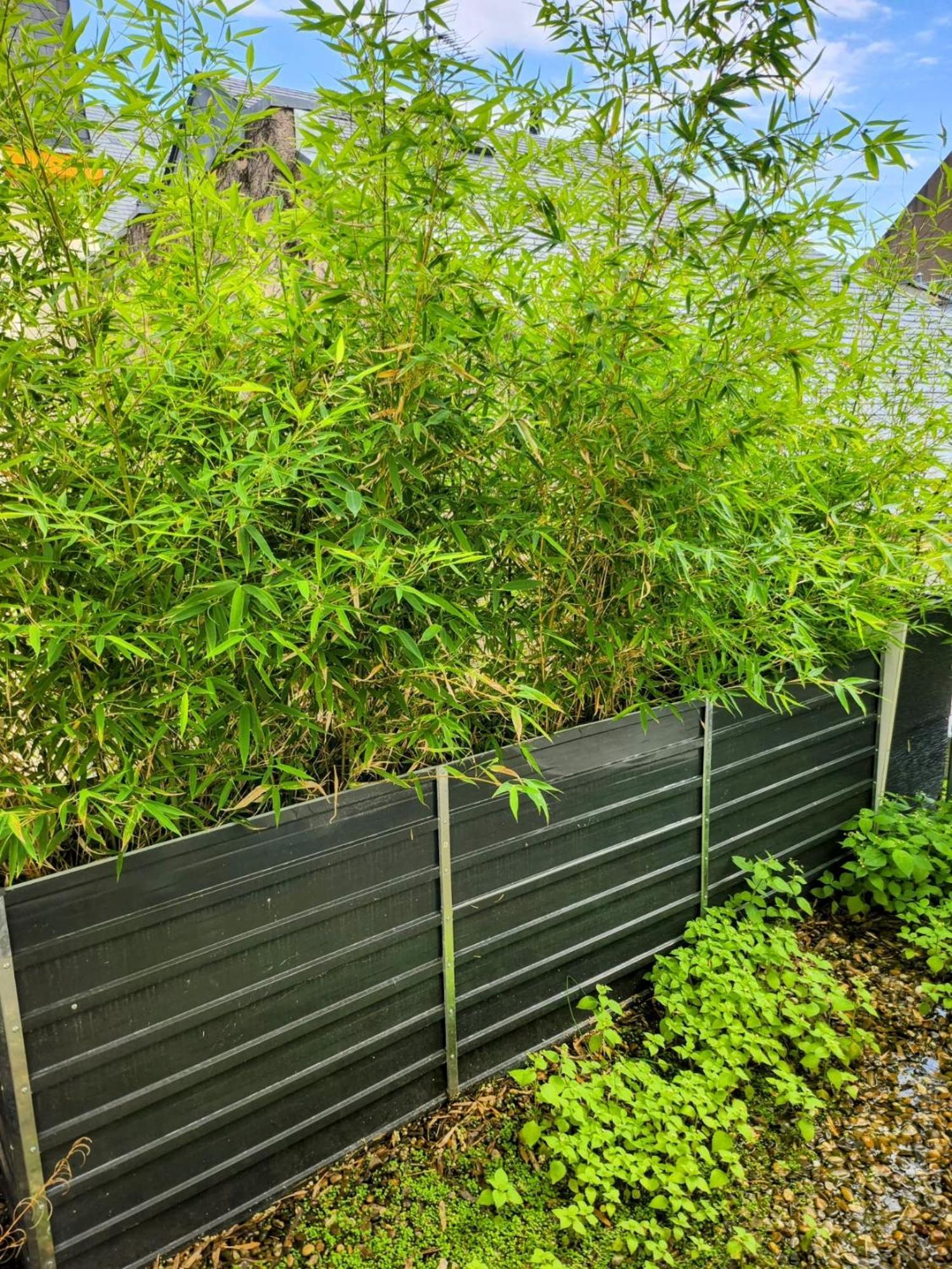 Appartement Attique Strasburg Zewnętrze zdjęcie
